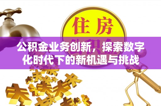 红花岗公积金业务创新，探索数字化时代下的新机遇与挑战