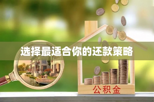 红花岗选择最适合你的还款策略
